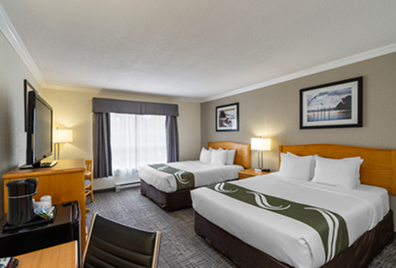 Accommodation